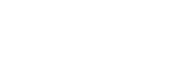 Singapore Police Force